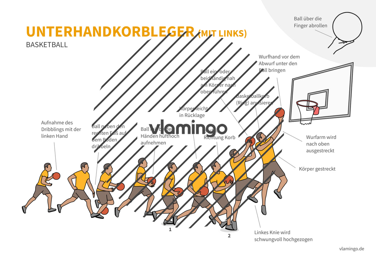 Basketball: 14+ Technikkarten für den Sportunterricht & Verein