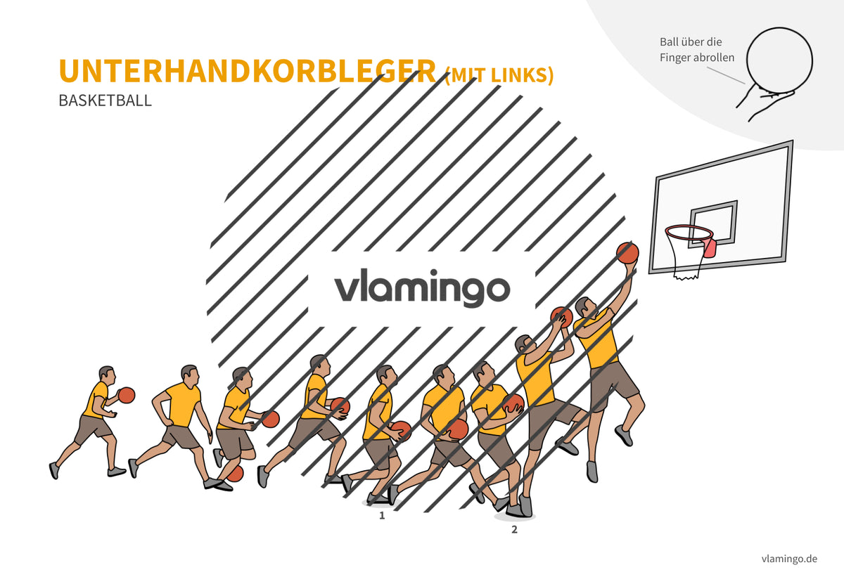 Basketball: 14+ Technikkarten für den Sportunterricht & Verein