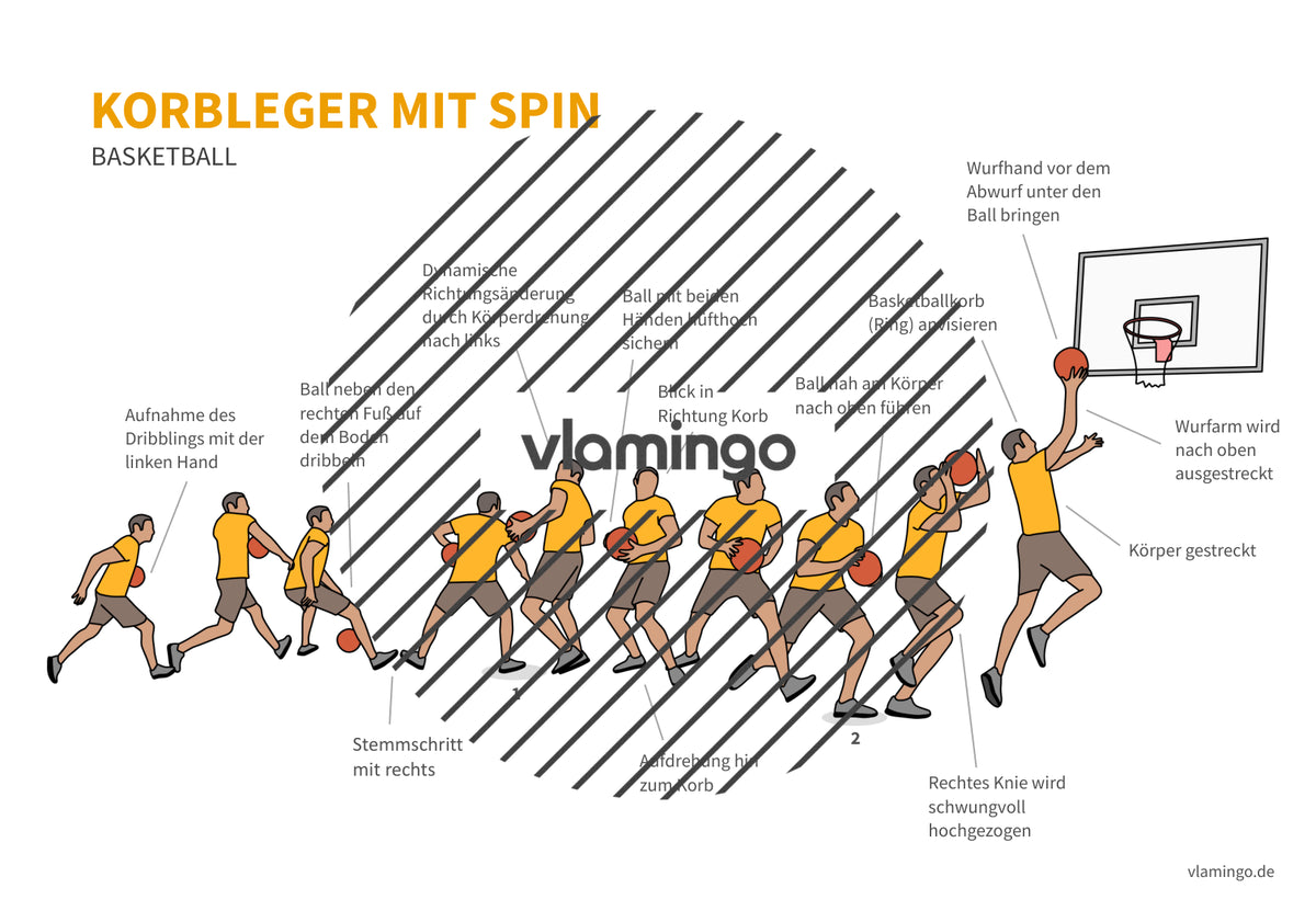 Basketball: 14+ Technikkarten für den Sportunterricht & Verein