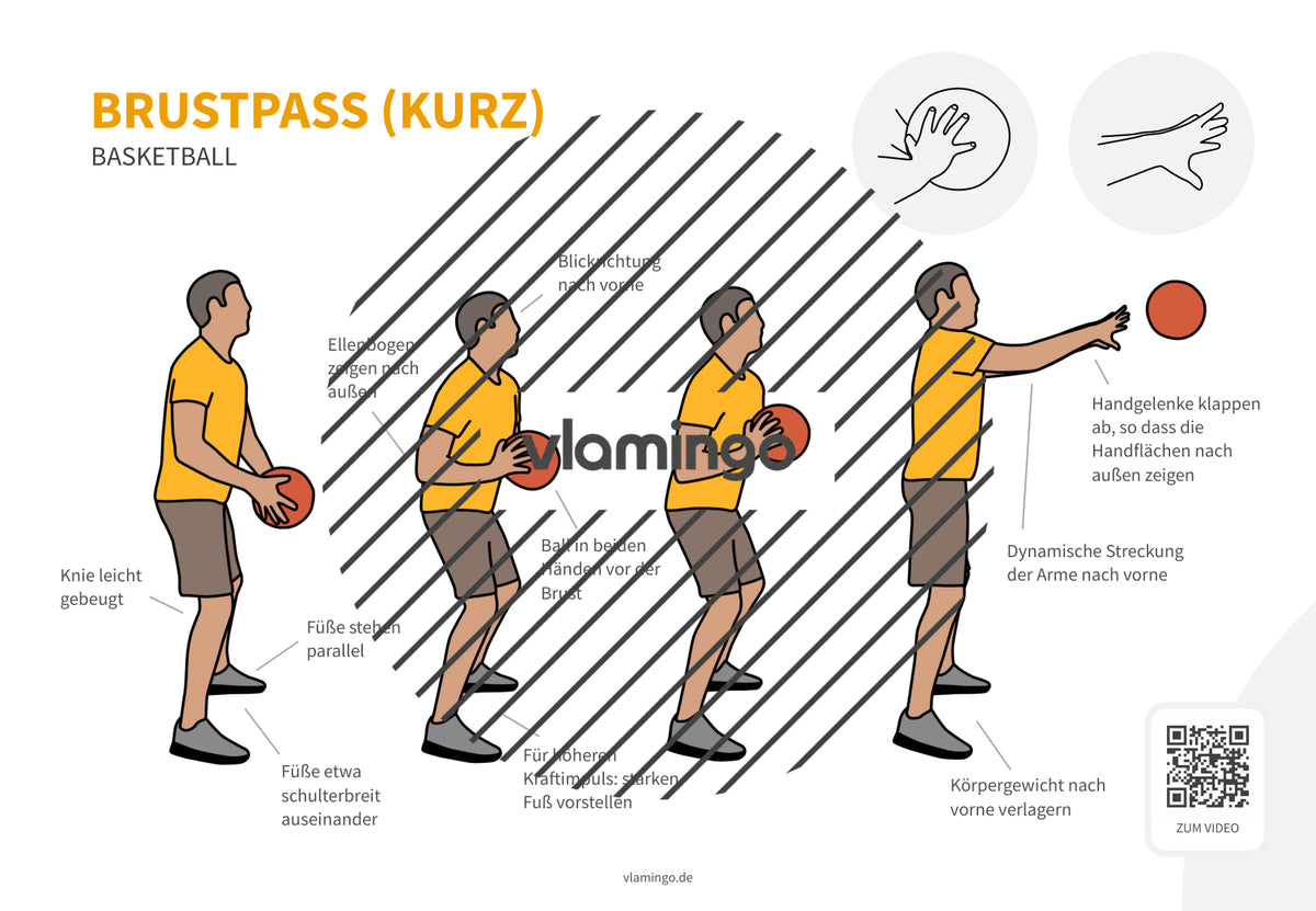 Basketball: 14+ Technikkarten für den Sportunterricht & Verein
