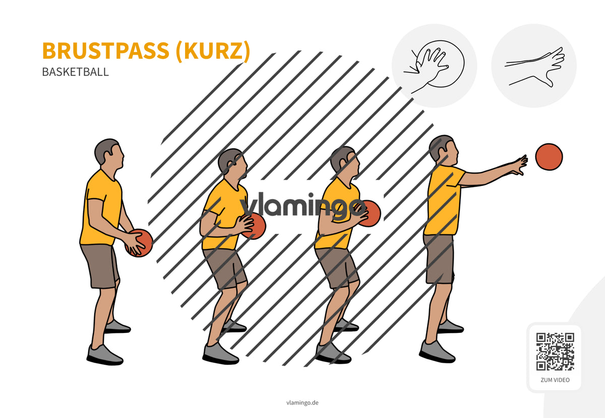 Basketball: 14+ Technikkarten für den Sportunterricht & Verein