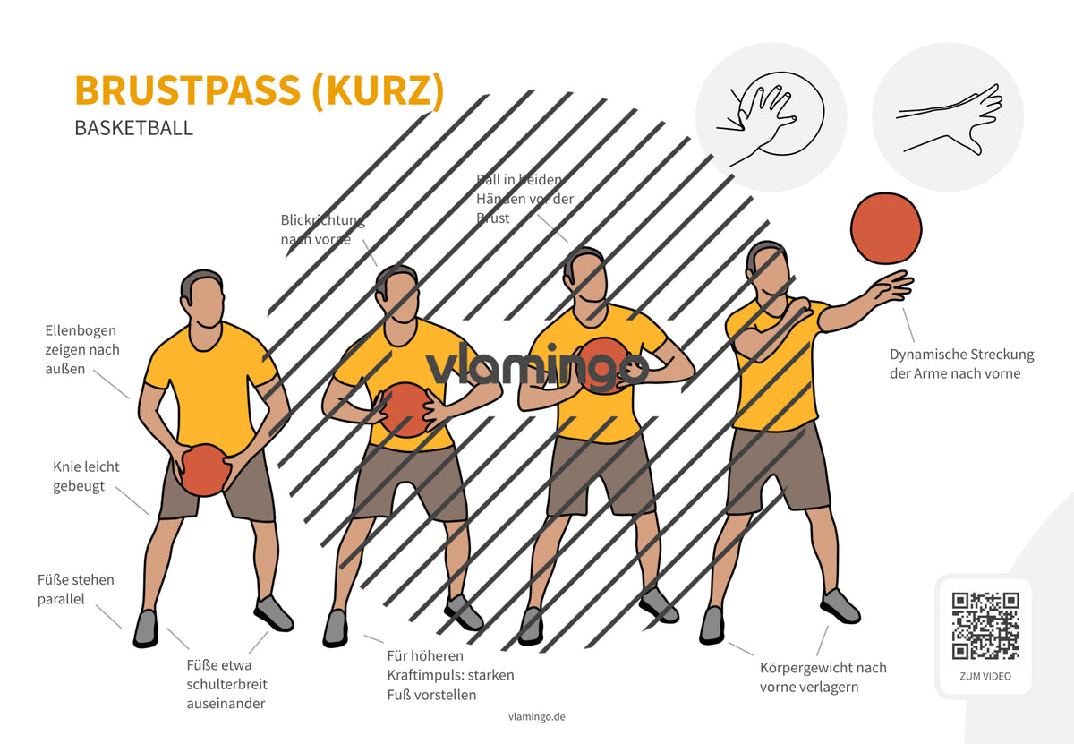 Basketball: 14+ Technikkarten für den Sportunterricht & Verein