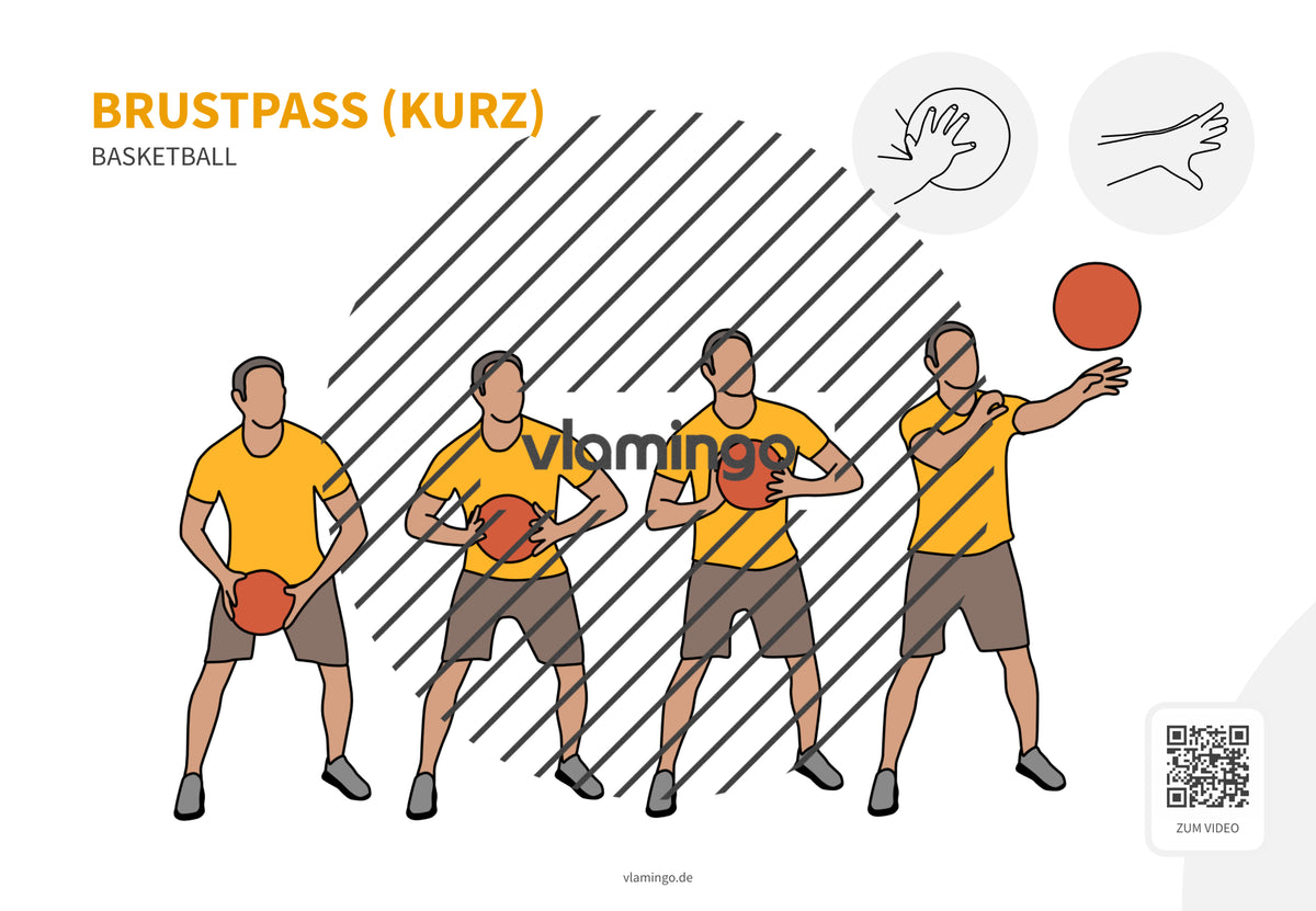 Basketball: 14+ Technikkarten für den Sportunterricht & Verein