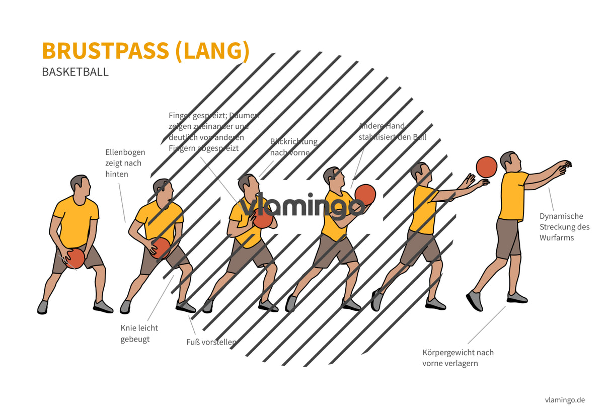 Basketball: 14+ Technikkarten für den Sportunterricht & Verein
