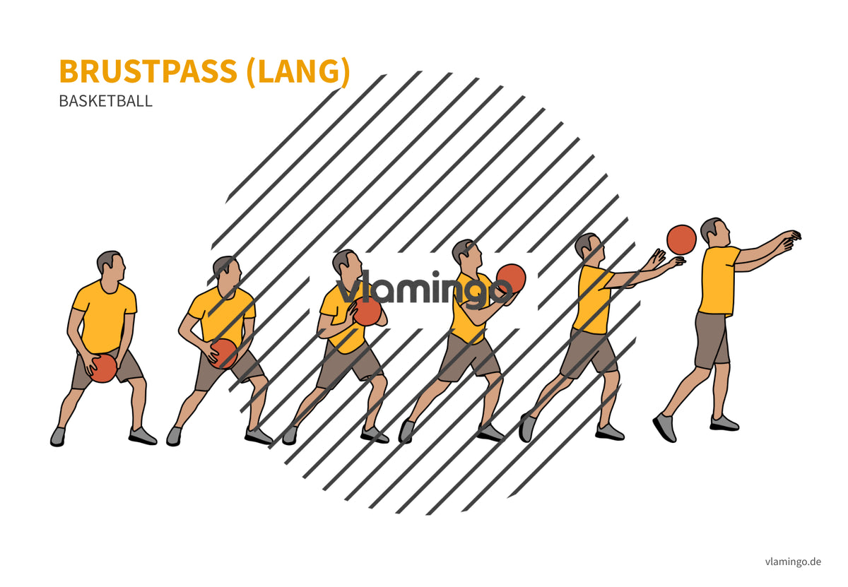Basketball: 14+ Technikkarten für den Sportunterricht & Verein