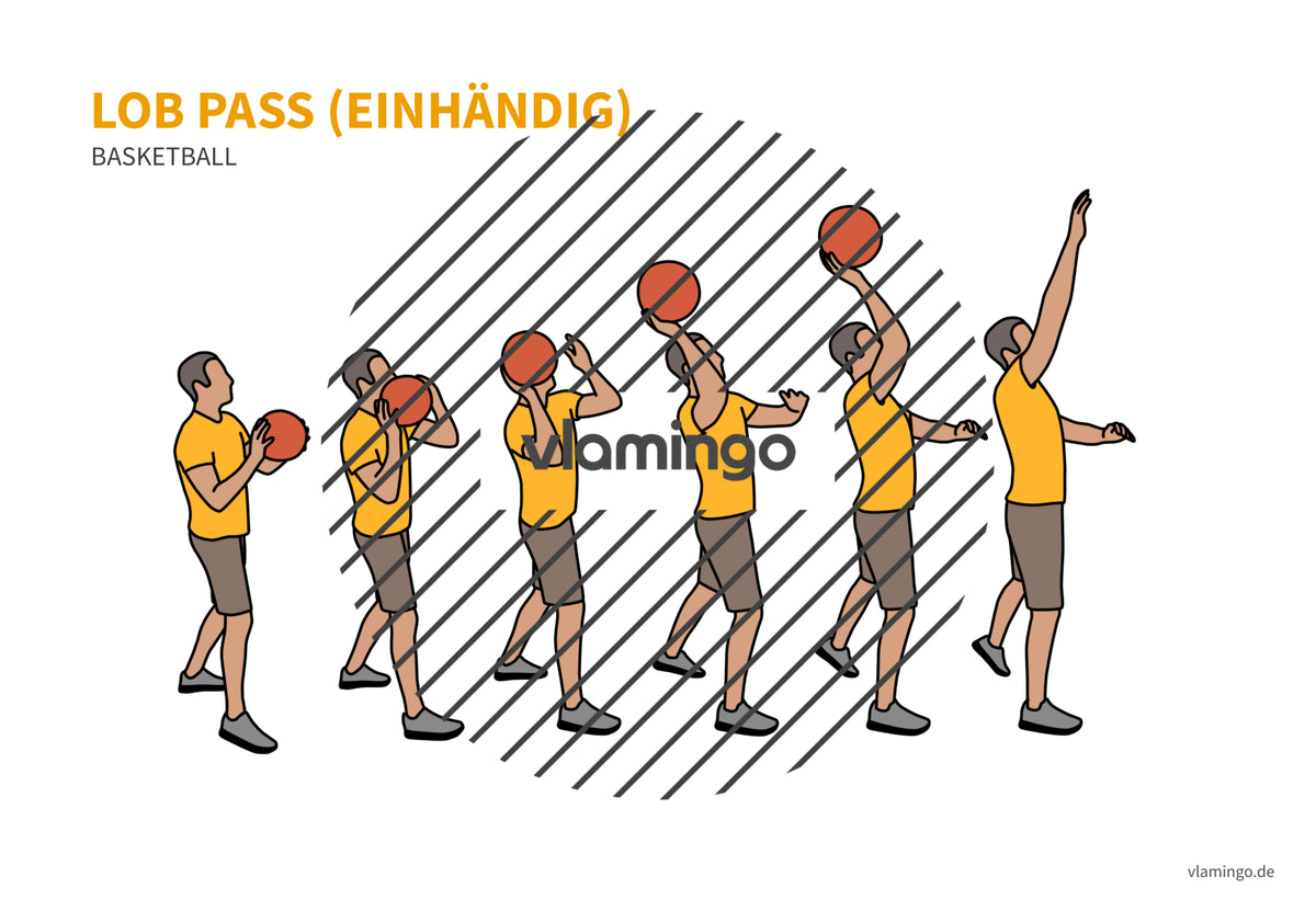 Basketball: 14+ Technikkarten für den Sportunterricht & Verein