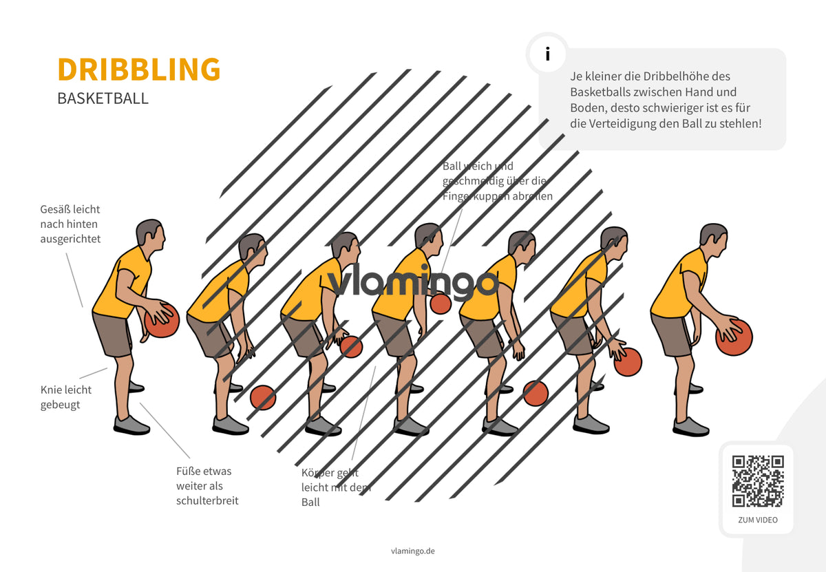 Basketball: 14+ Technikkarten für den Sportunterricht & Verein