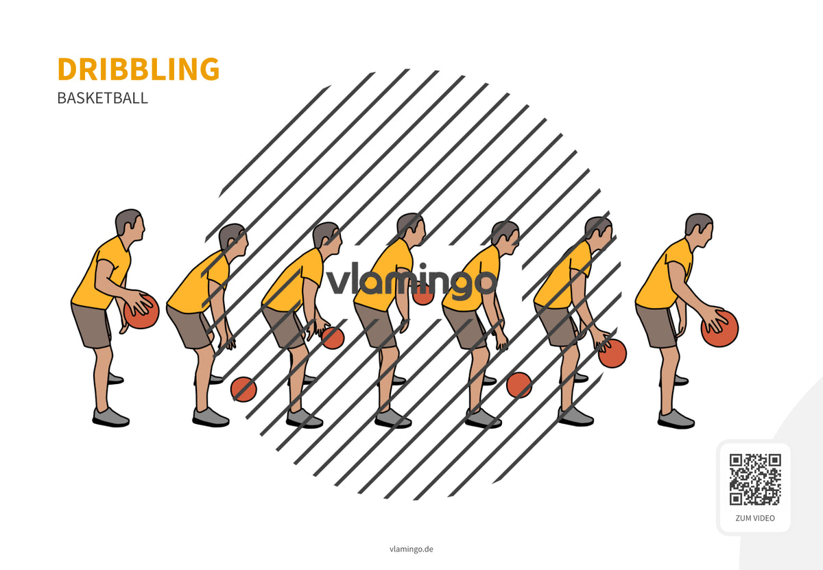 Basketball: 14+ Technikkarten für den Sportunterricht & Verein