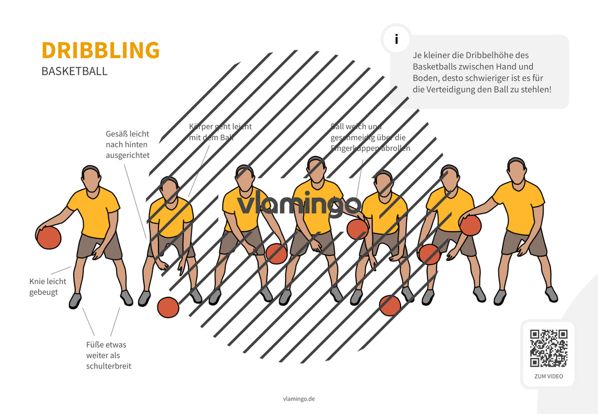 Basketball: 14+ Technikkarten für den Sportunterricht & Verein