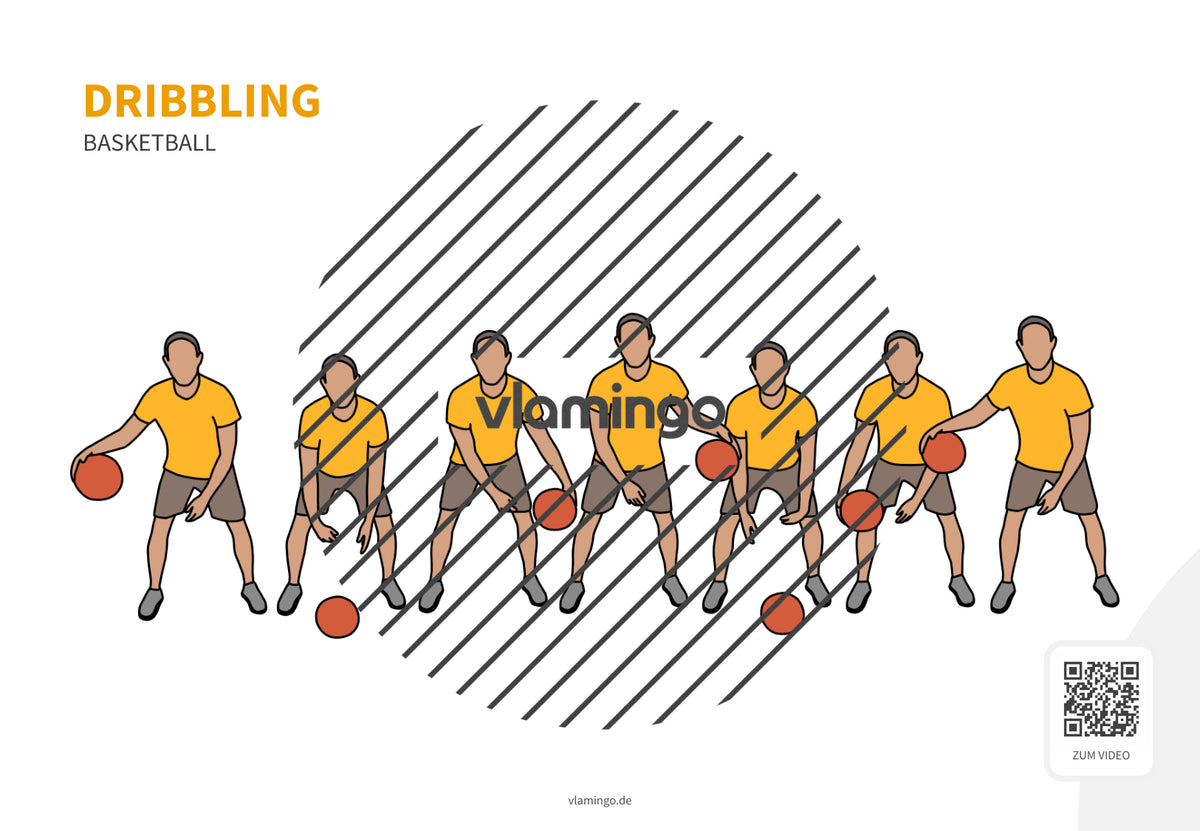 Basketball: 14+ Technikkarten für den Sportunterricht & Verein