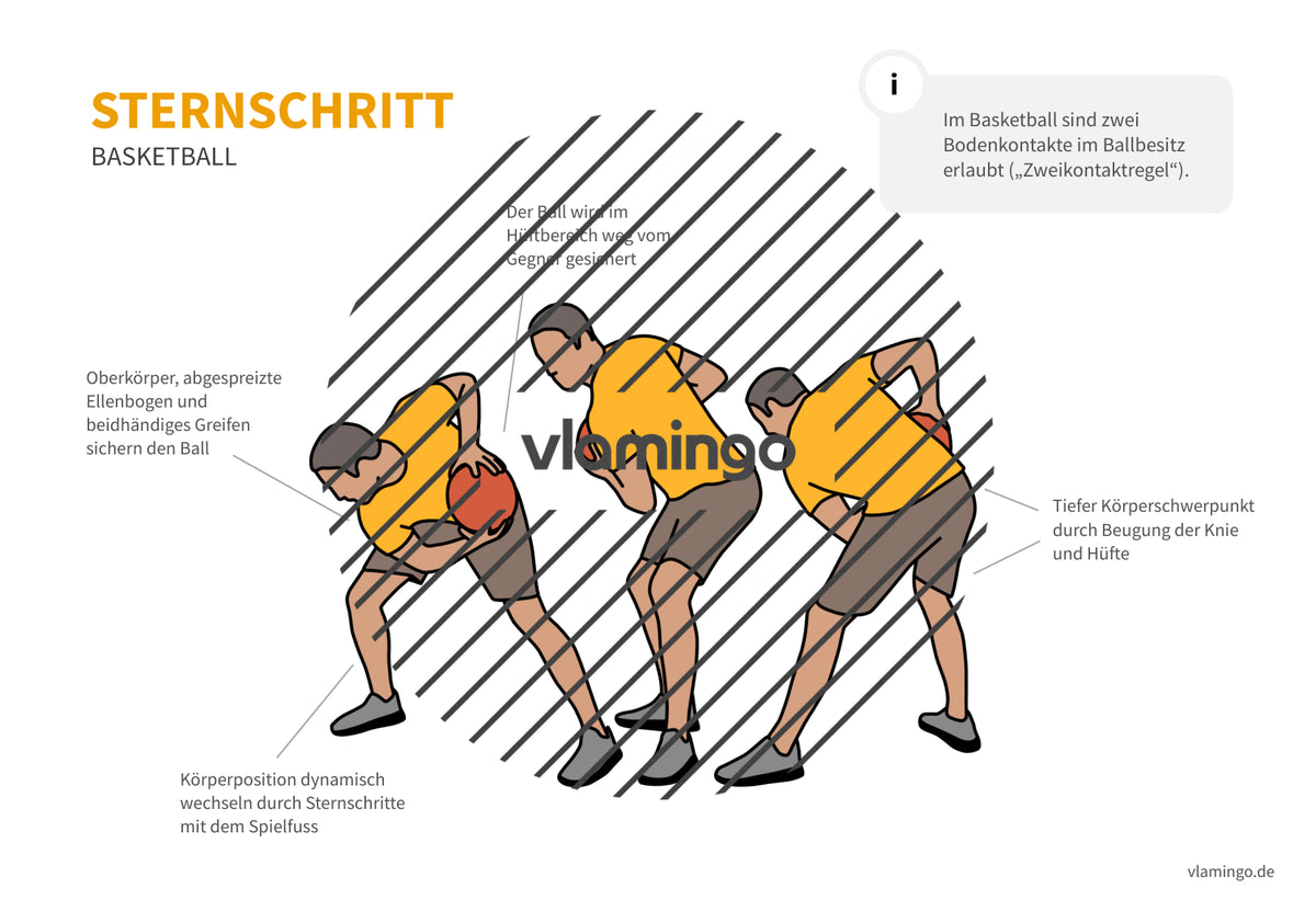 Basketball: 14+ Technikkarten für den Sportunterricht & Verein