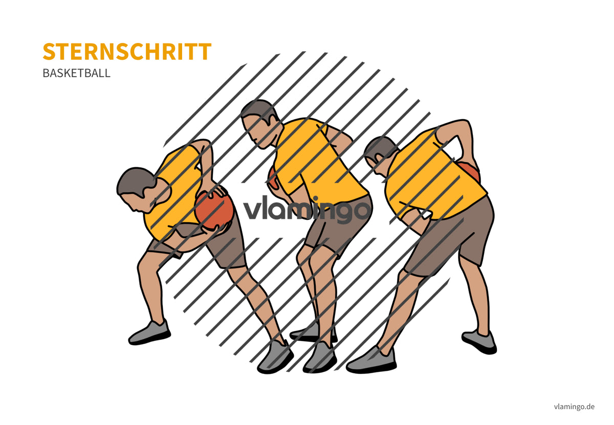 Basketball: 14+ Technikkarten für den Sportunterricht & Verein