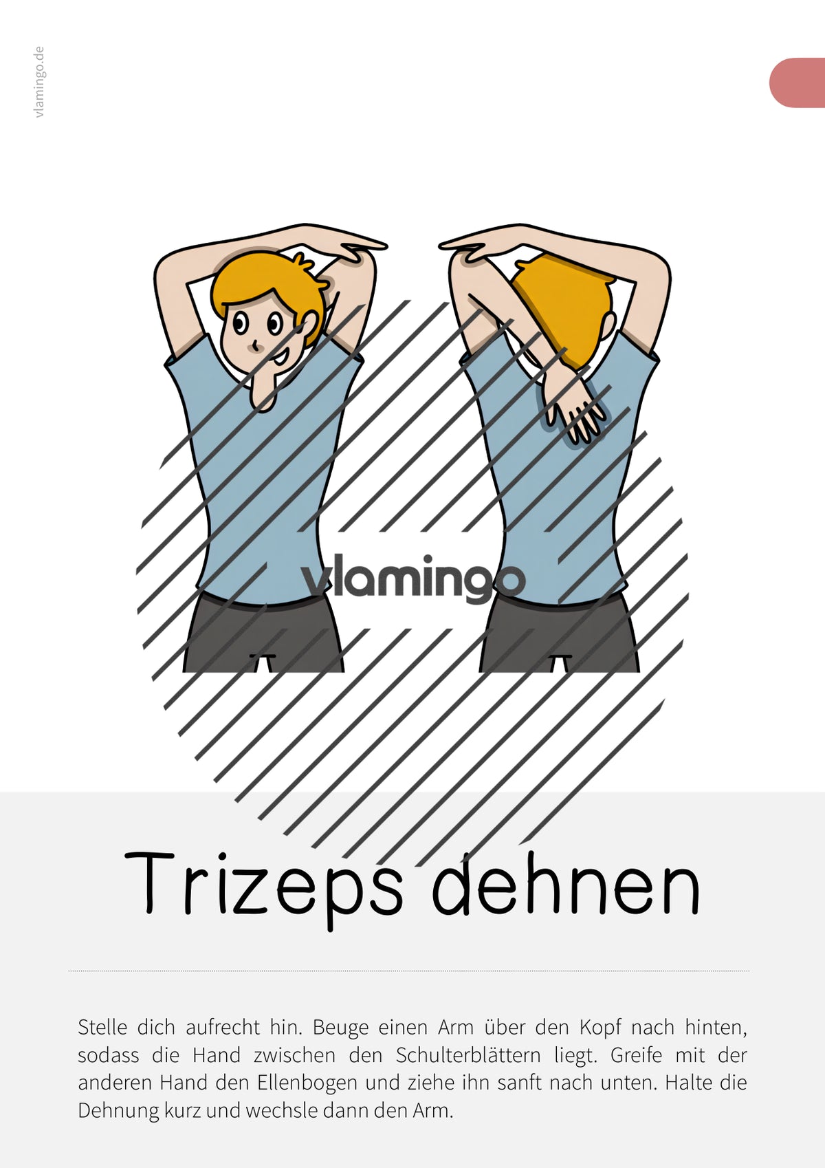 60 Bewegungskarten für Pausen, den Unterricht & Zuhause