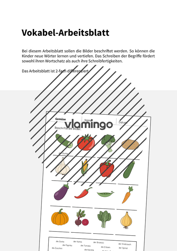 de deutsch gemuse vokabelarbeitsblatt 1 002