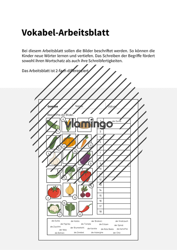 de deutsch gemuse vokabelarbeitsblatt 2 002