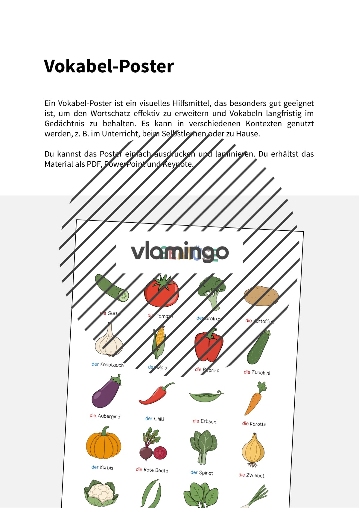 de deutsch gemuse vokabelposter 002
