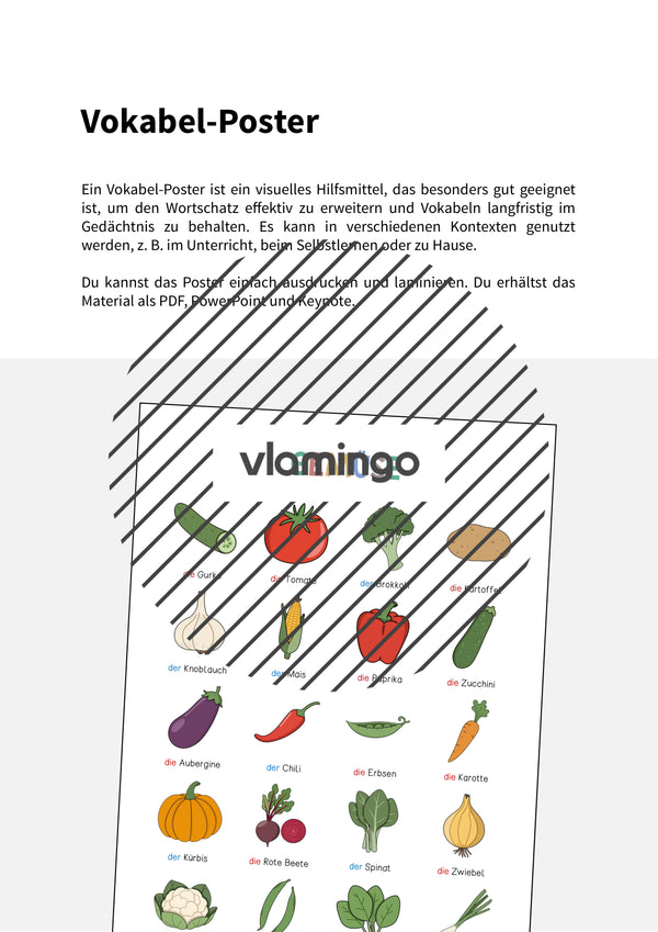 de deutsch gemuse vokabelposter 002