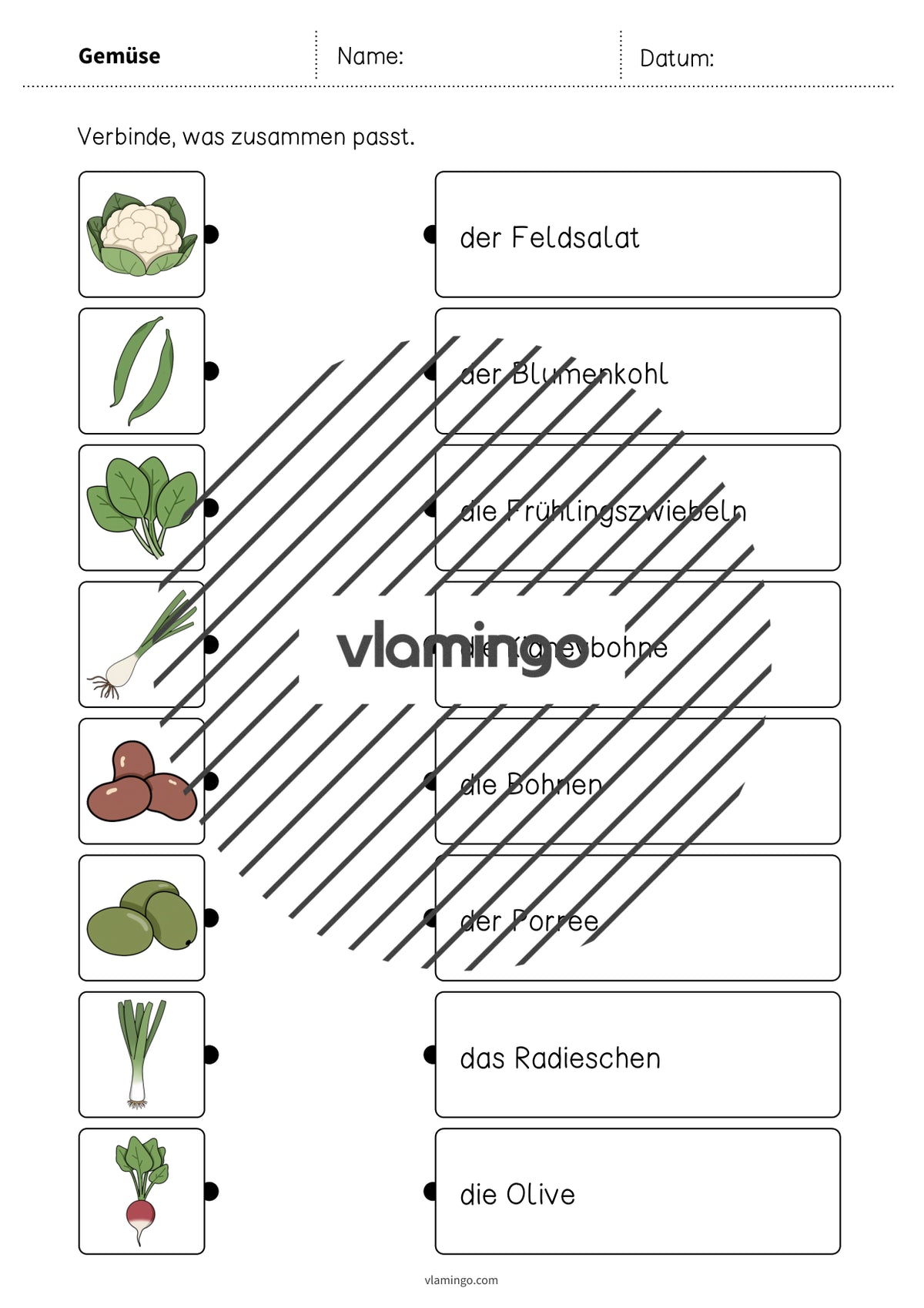 de deutsch gemuse was passt zusammen 2 005