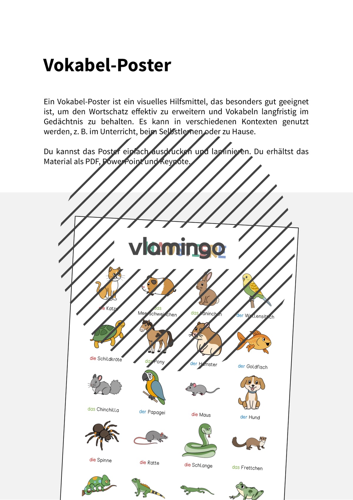 de deutsch haustiere vokabelposter 002