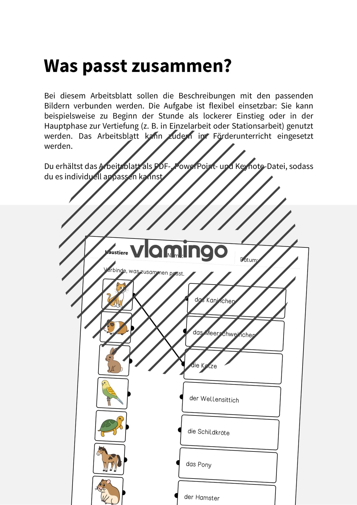 de deutsch haustiere was passt zusammen 2 002