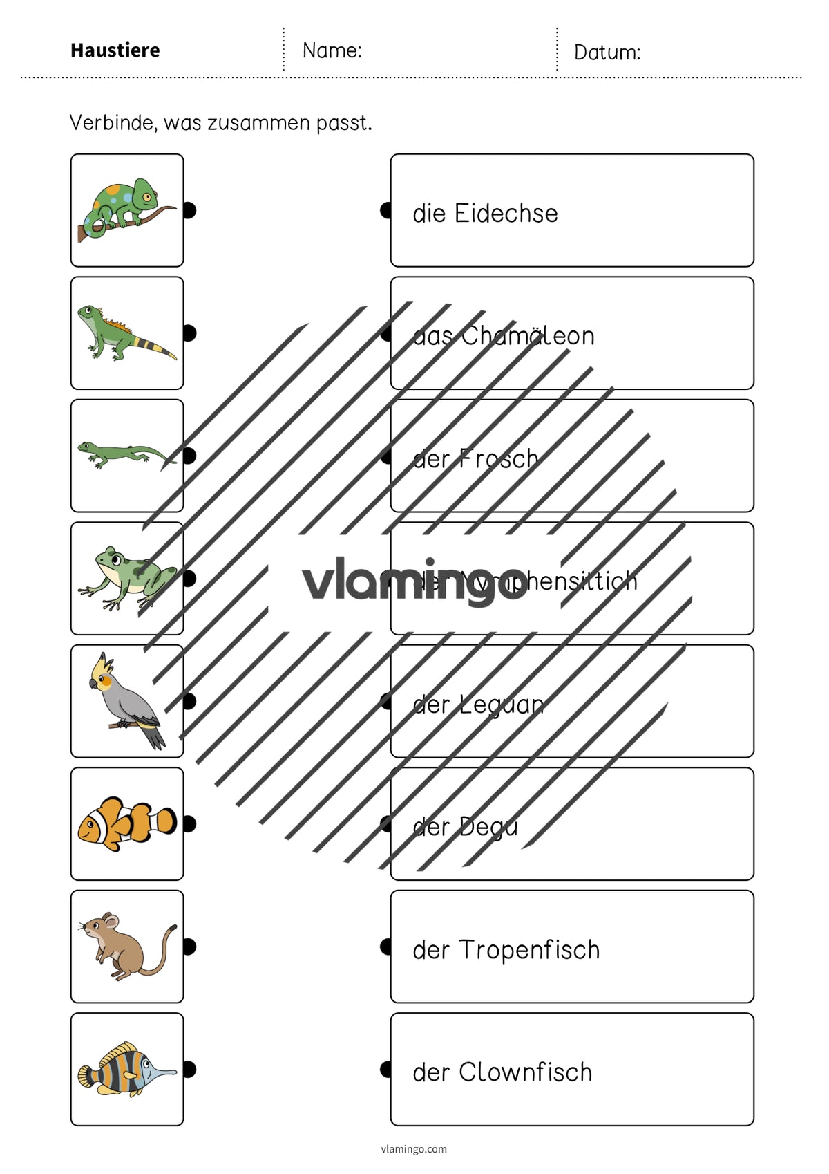 de deutsch haustiere was passt zusammen 2 005
