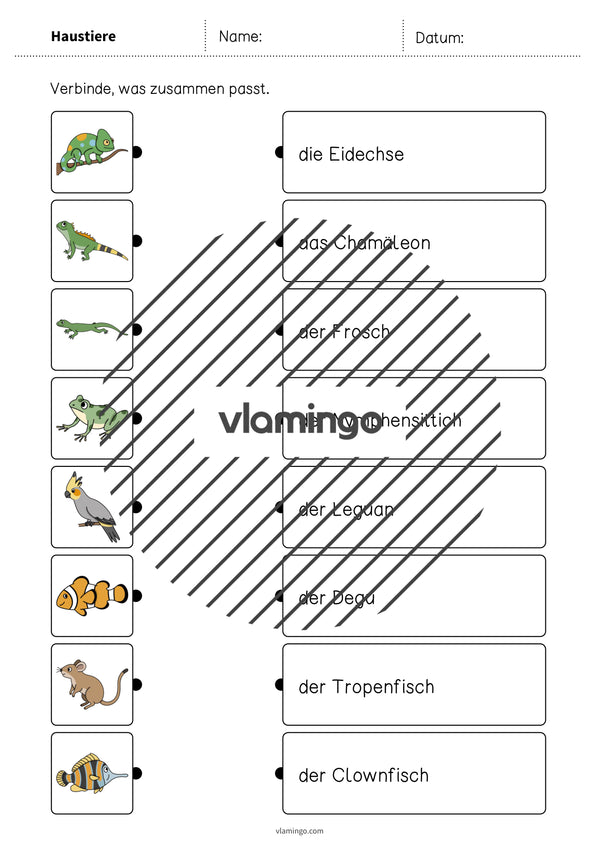 de deutsch haustiere was passt zusammen 2 005