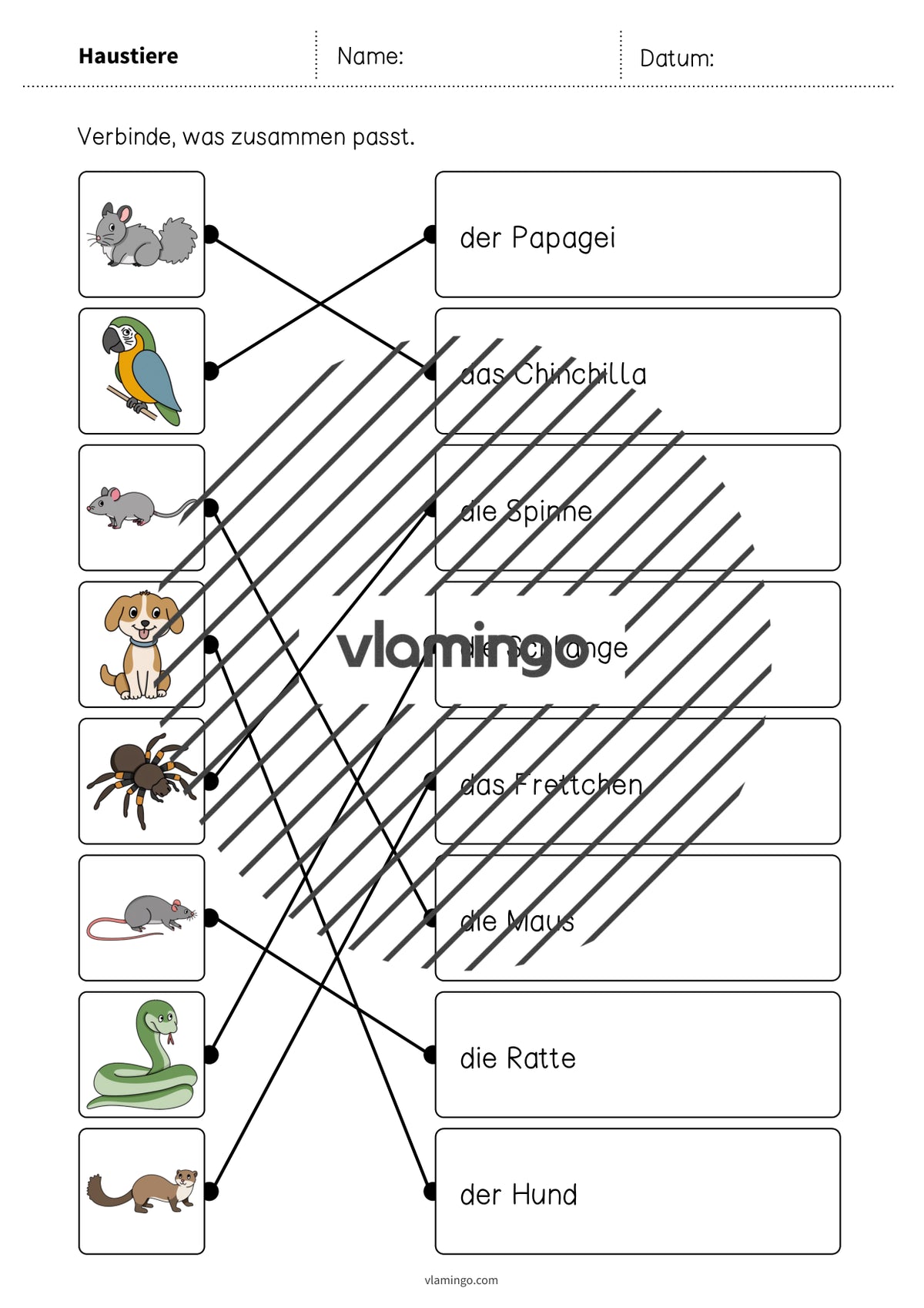 de deutsch haustiere was passt zusammen 2 008