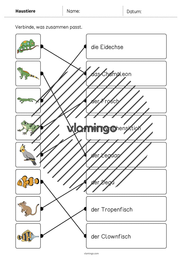 de deutsch haustiere was passt zusammen 2 009