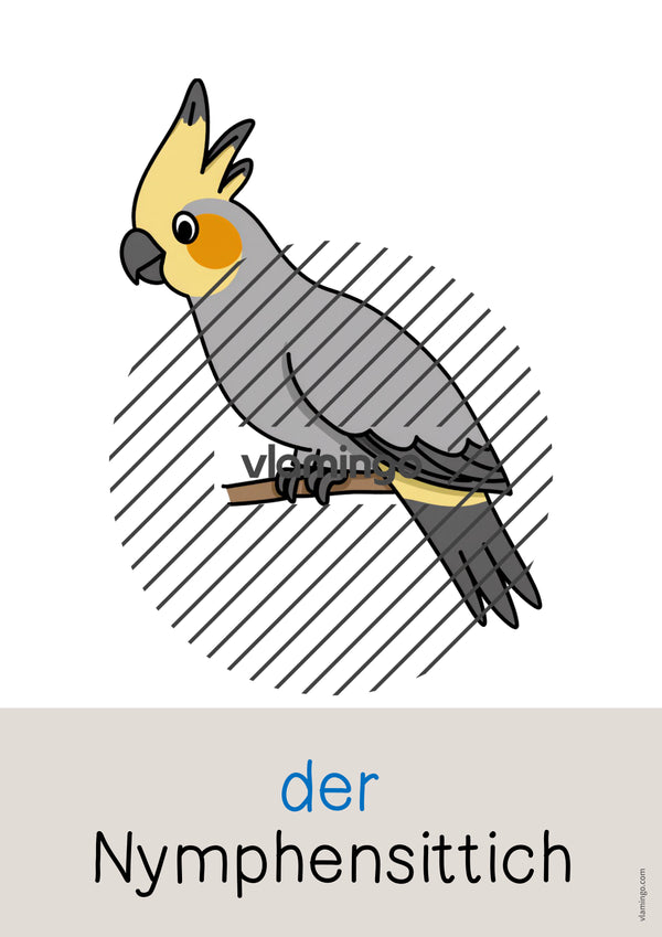 de deutsch haustiere wort und bildkarten 023