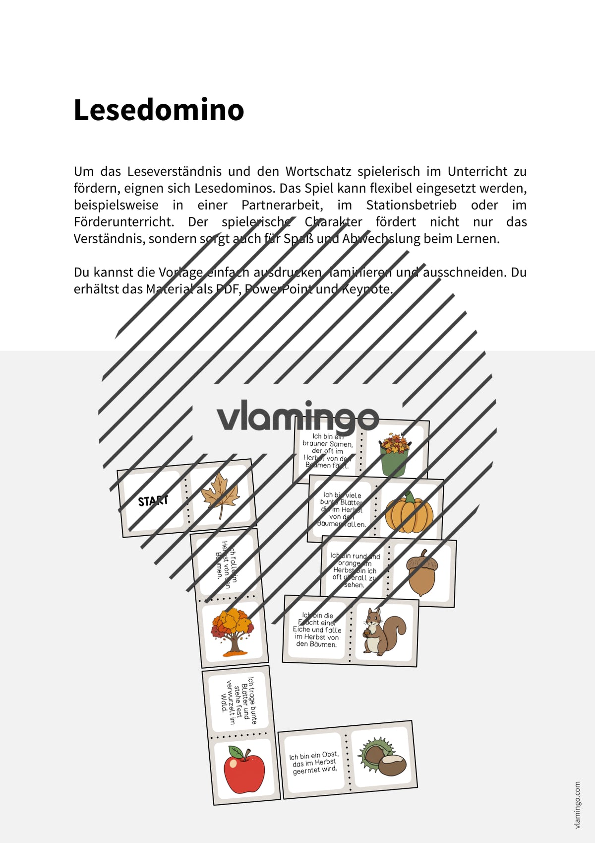 de deutsch herbst lesedomino 002