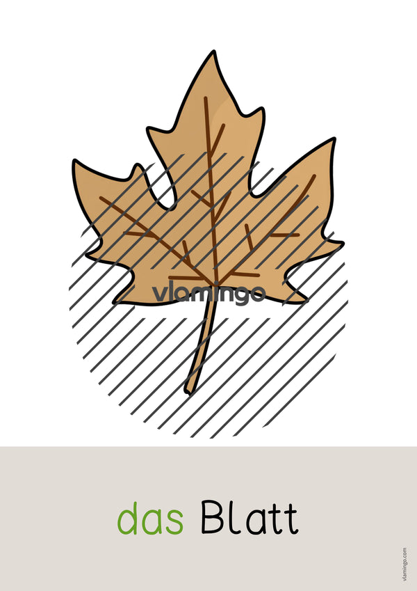 de deutsch herbst wort und bildkarten 003