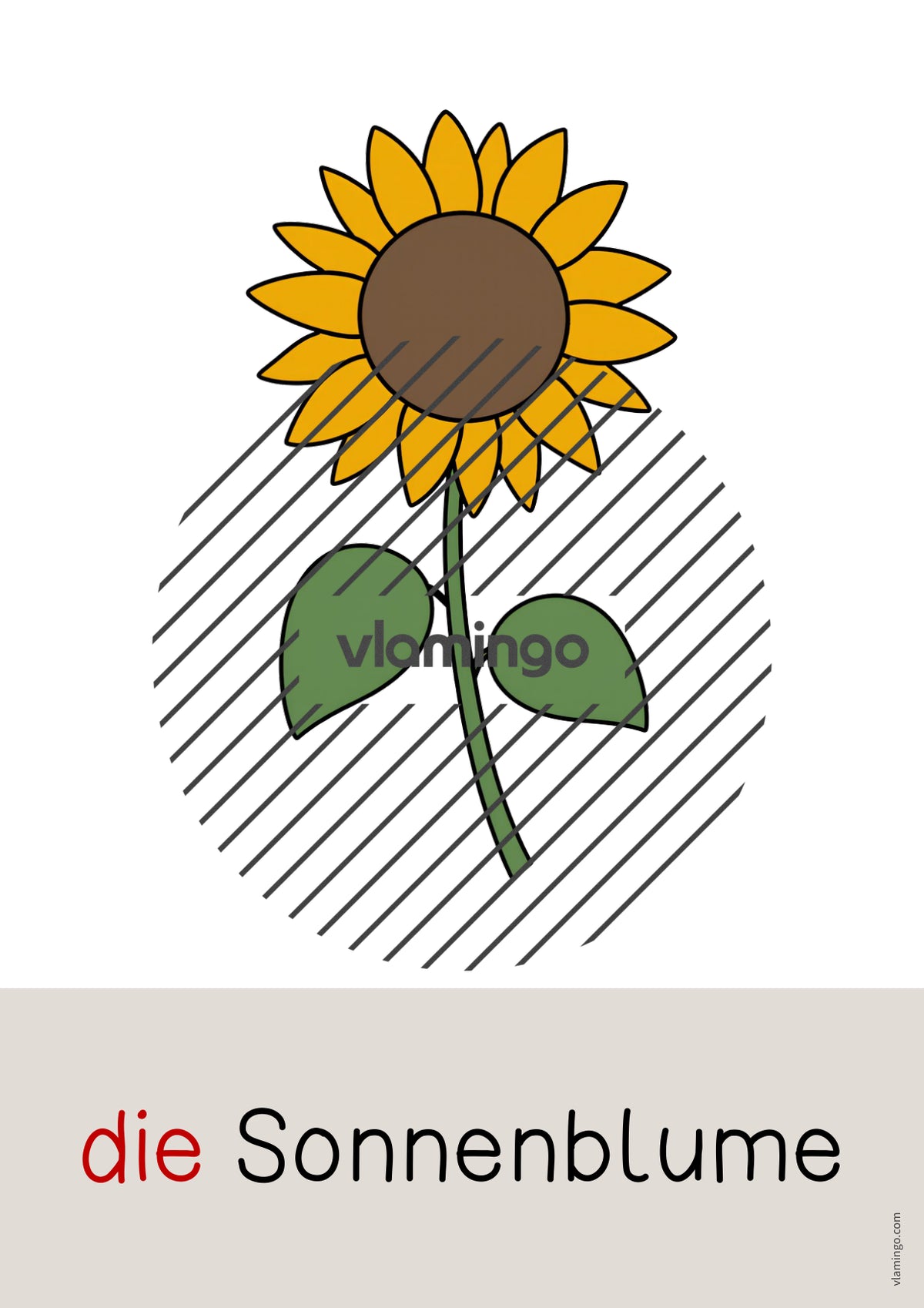 de deutsch herbst wort und bildkarten 032