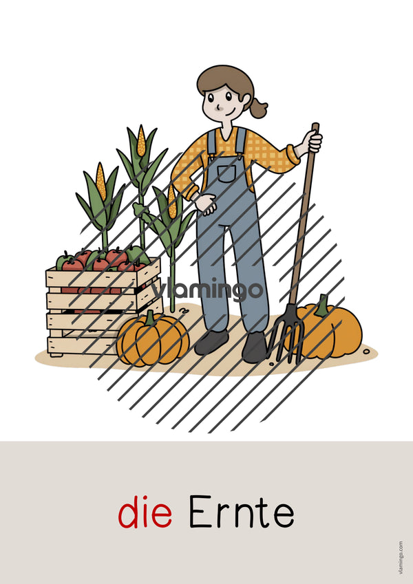 de deutsch herbst wort und bildkarten 040