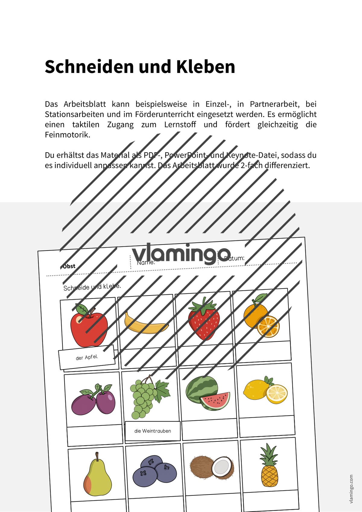de deutsch obst schneiden und kleben 002