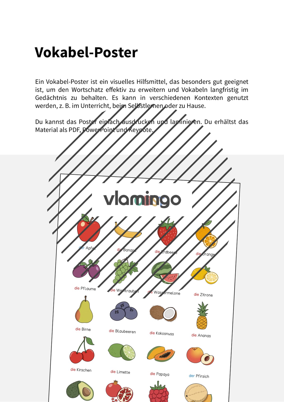 de deutsch obst vokabelposter 002