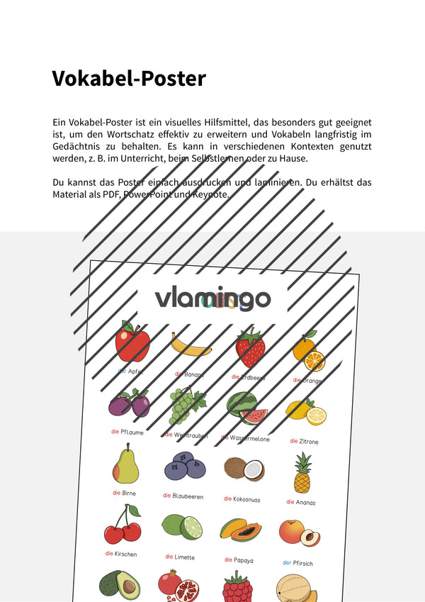 de deutsch obst vokabelposter 002