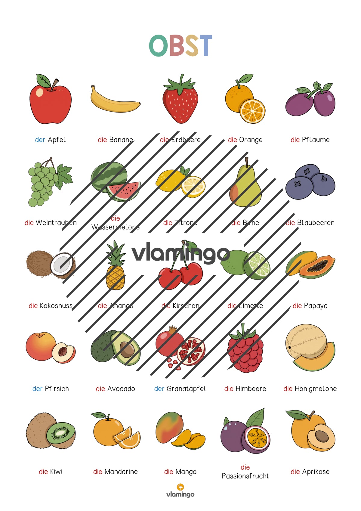 de deutsch obst vokabelposter 004