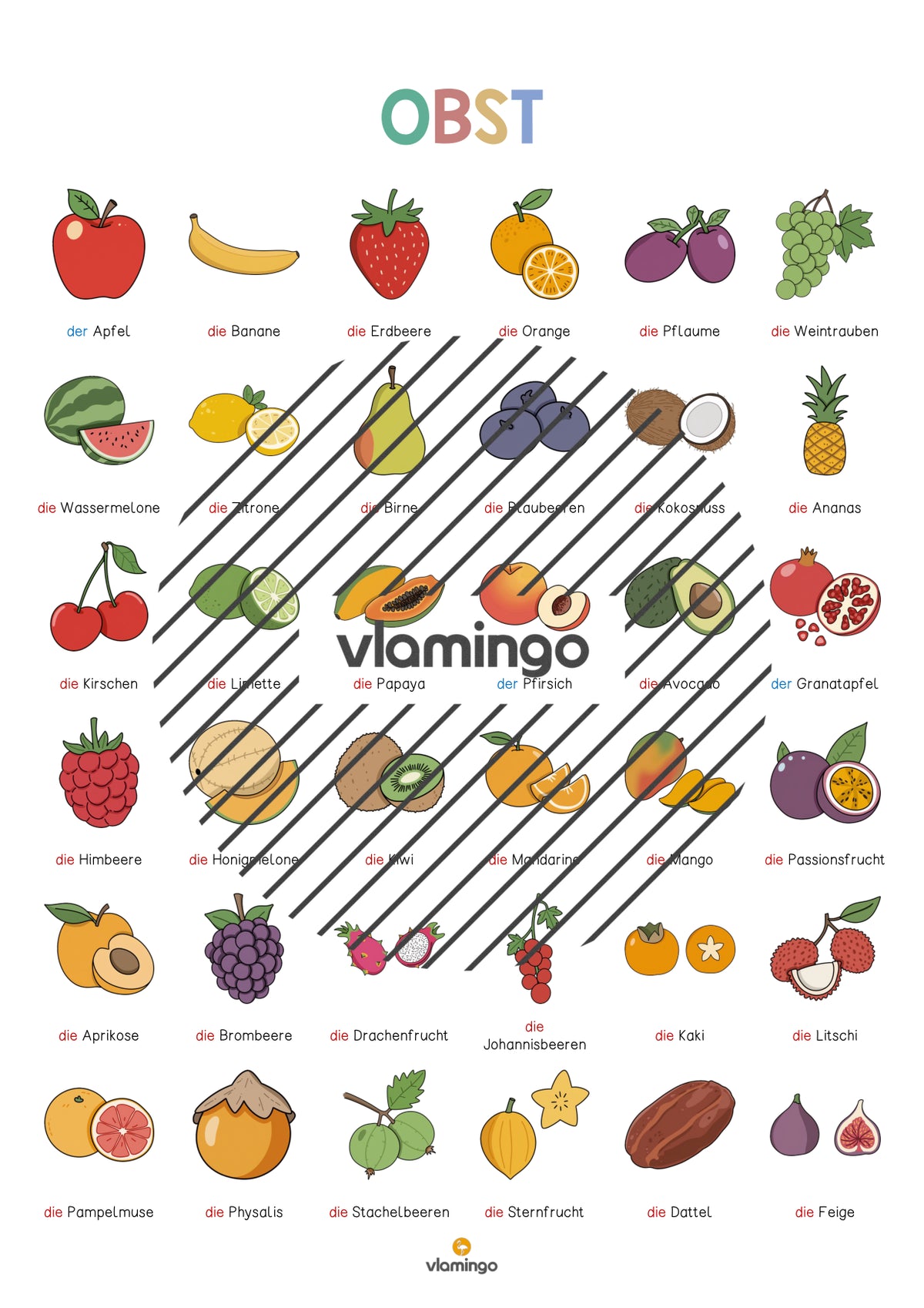 de deutsch obst vokabelposter 005