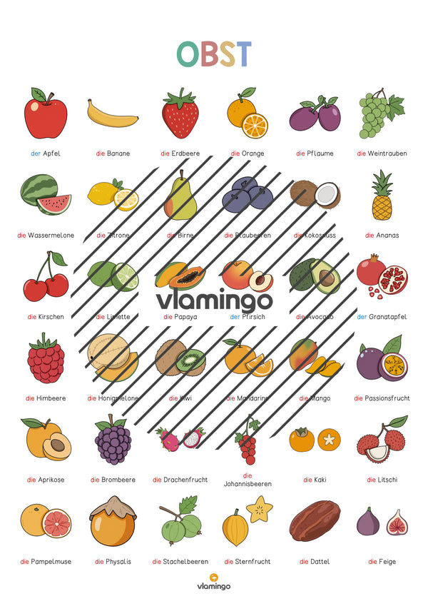 de deutsch obst vokabelposter 005
