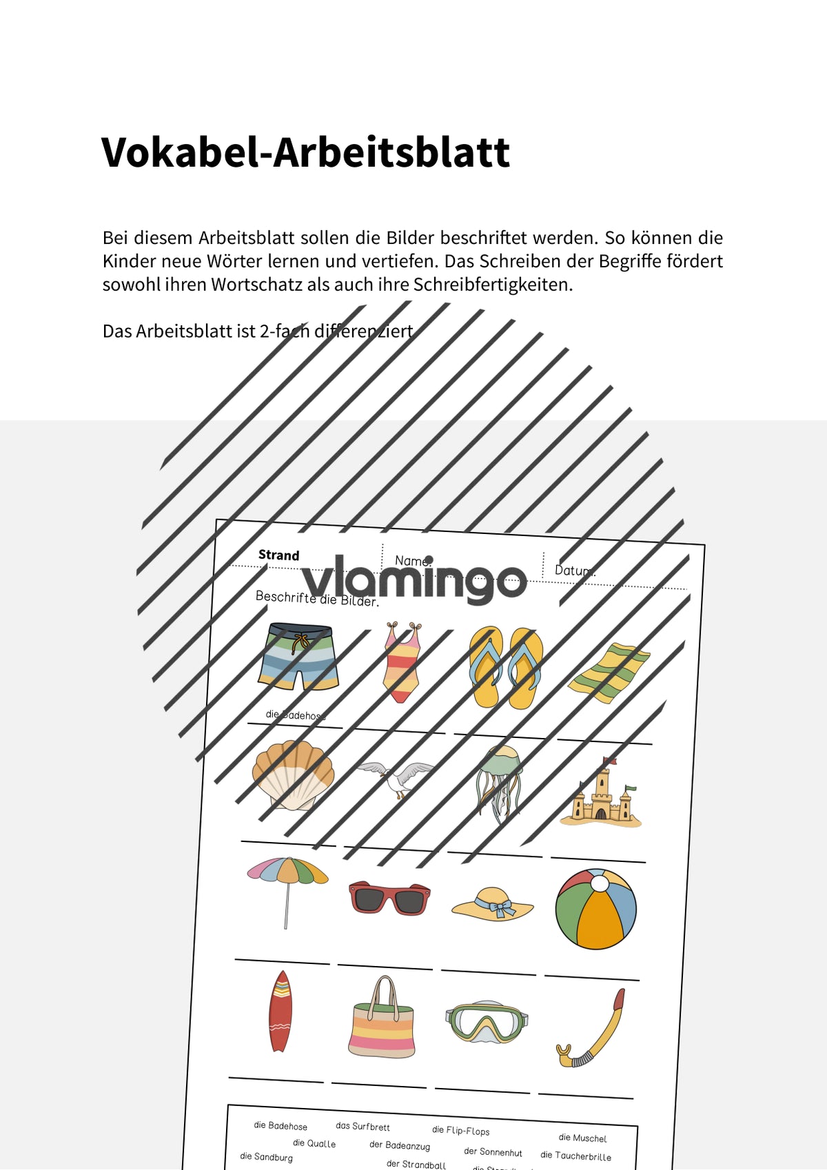 de deutsch strand vokabelarbeitsblatt 1 002