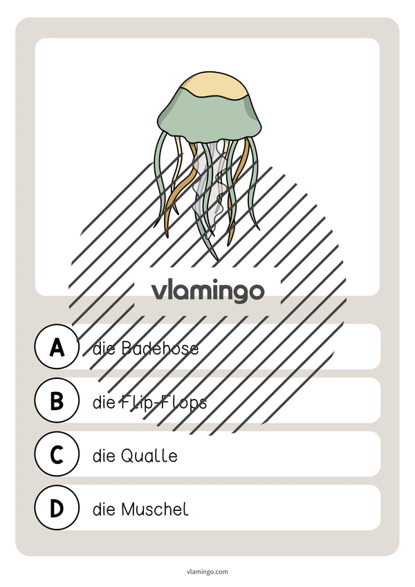 de deutsch strand vokabelquiz 017