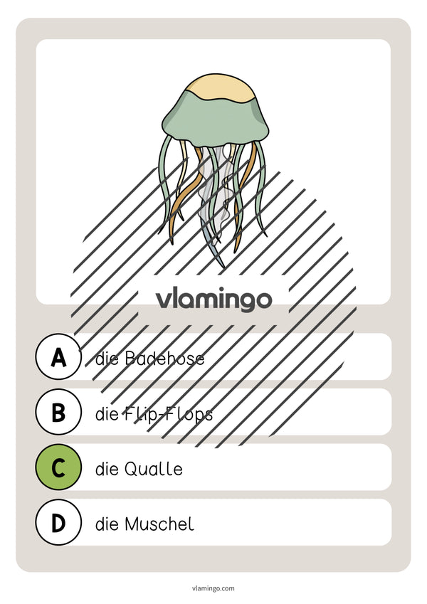 de deutsch strand vokabelquiz 018