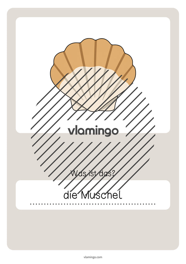 de deutsch strand vokabelquiz 055