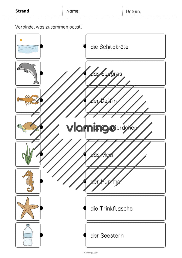 de deutsch strand was passt zusammen 2 008