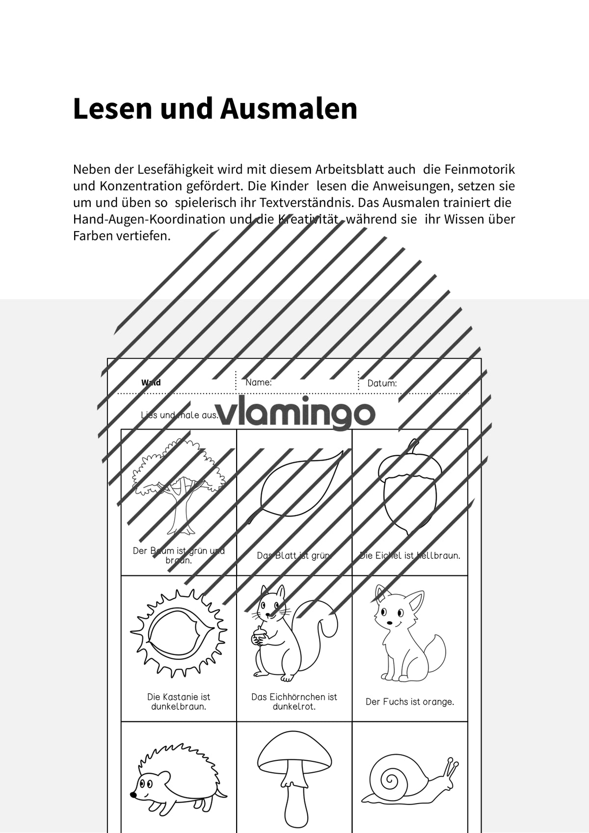 de deutsch wald lesen und ausmalen 2 002