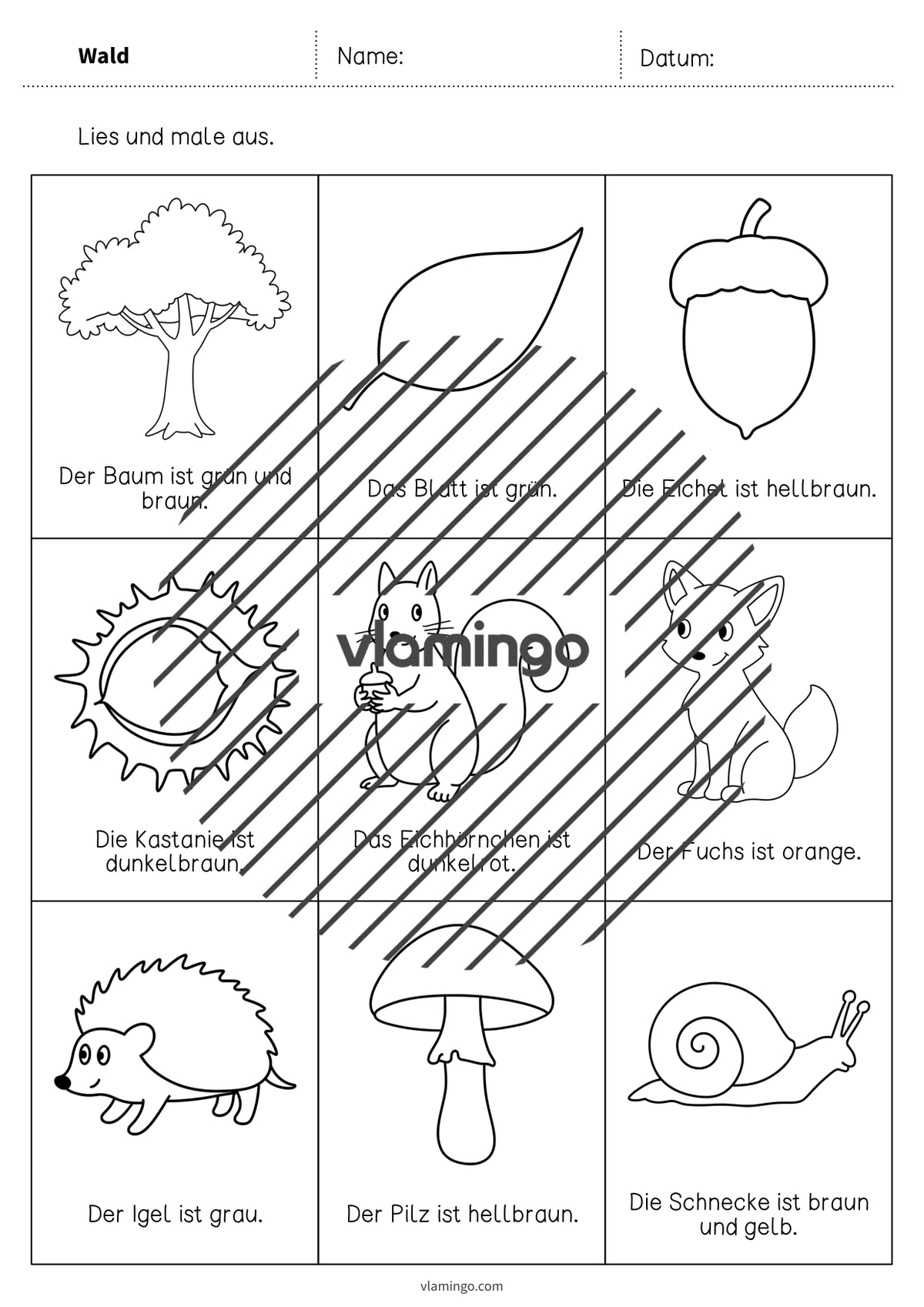 de deutsch wald lesen und ausmalen 2 003
