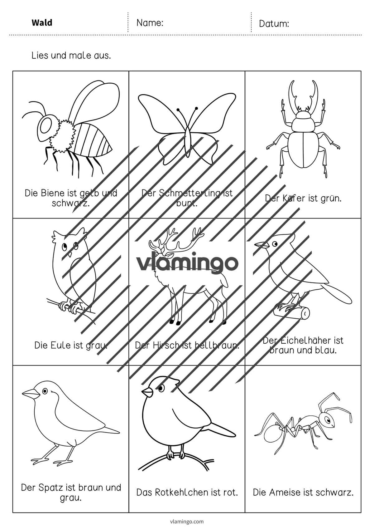de deutsch wald lesen und ausmalen 2 004