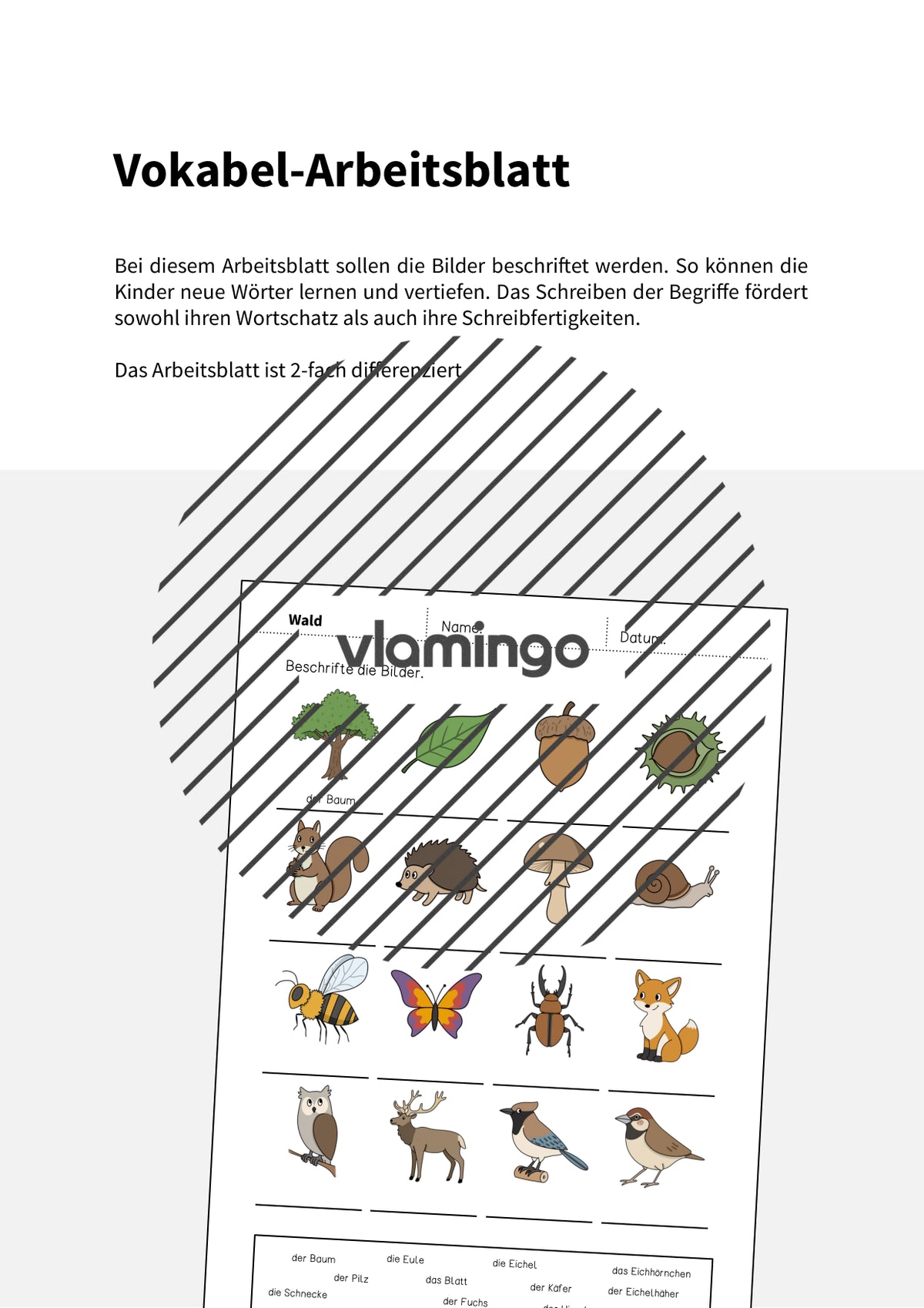 de deutsch wald vokabelarbeitsblatt 1 002
