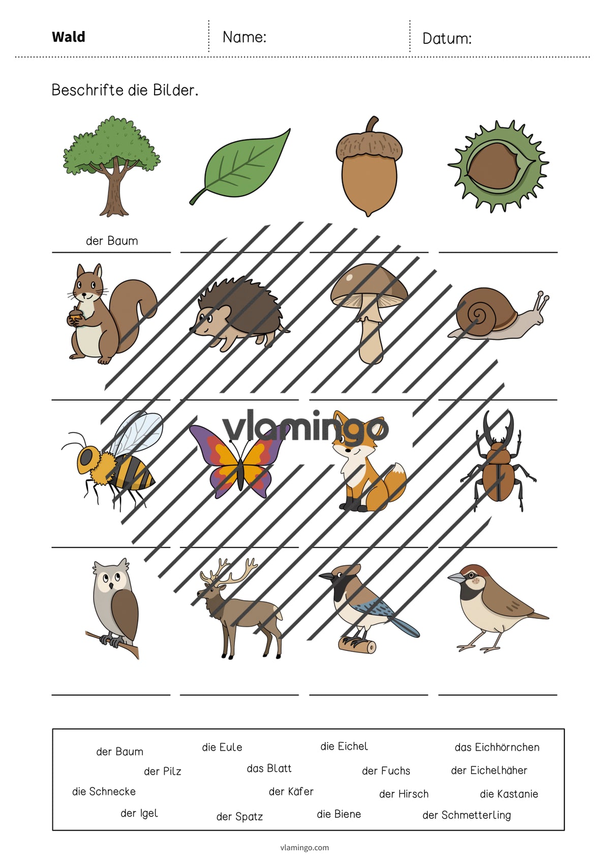 de deutsch wald vokabelarbeitsblatt 1 004