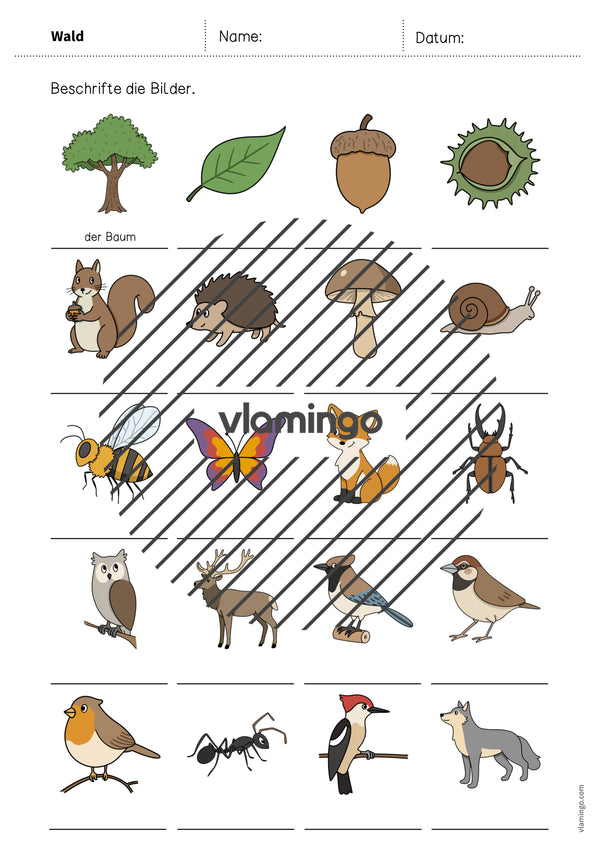 de deutsch wald vokabelarbeitsblatt 1 007